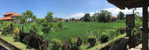 Ubud2
