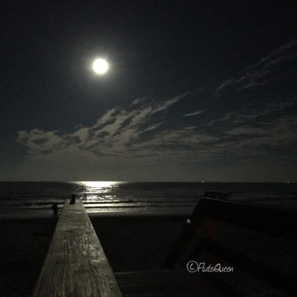 Super Moon by Viviana Guzman