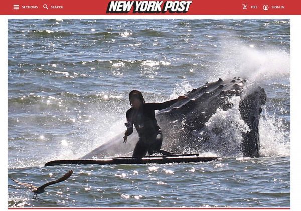 Viviana Guzman NY Post